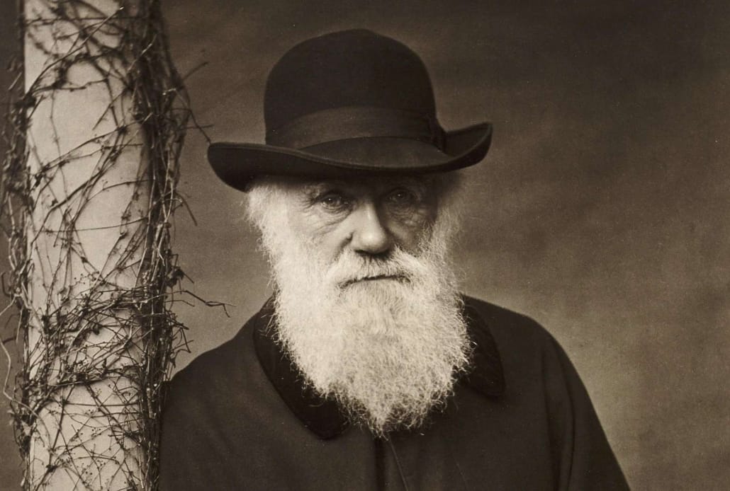 Darwin's Dilemma 9