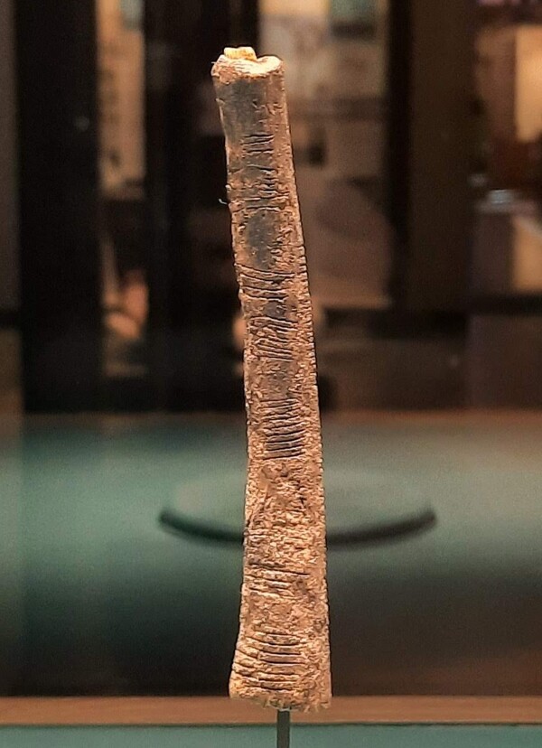 The Ishango Bone Artifact