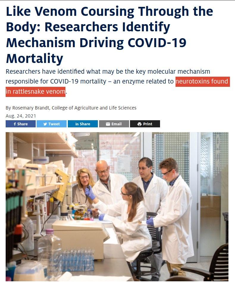 COVID-19 Vaccine Ingredients 13