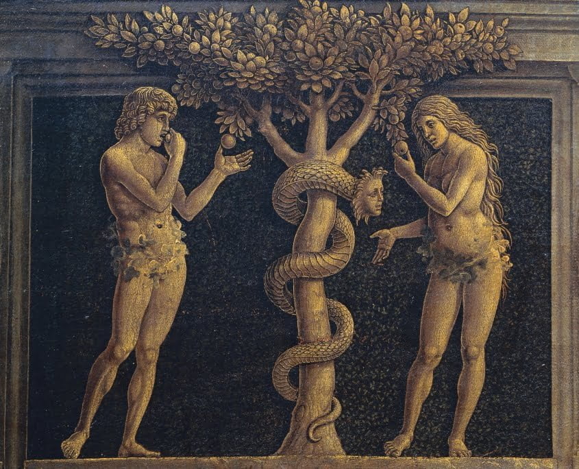 The Adam & Eve Story 41