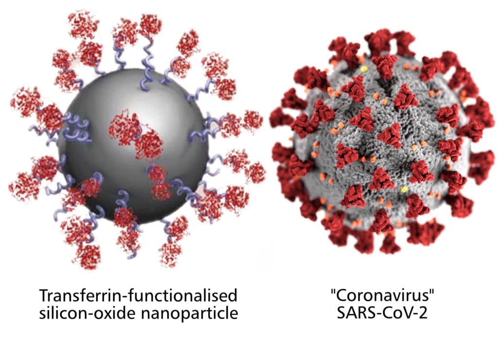 COVID-19 Vaccine Ingredients 81