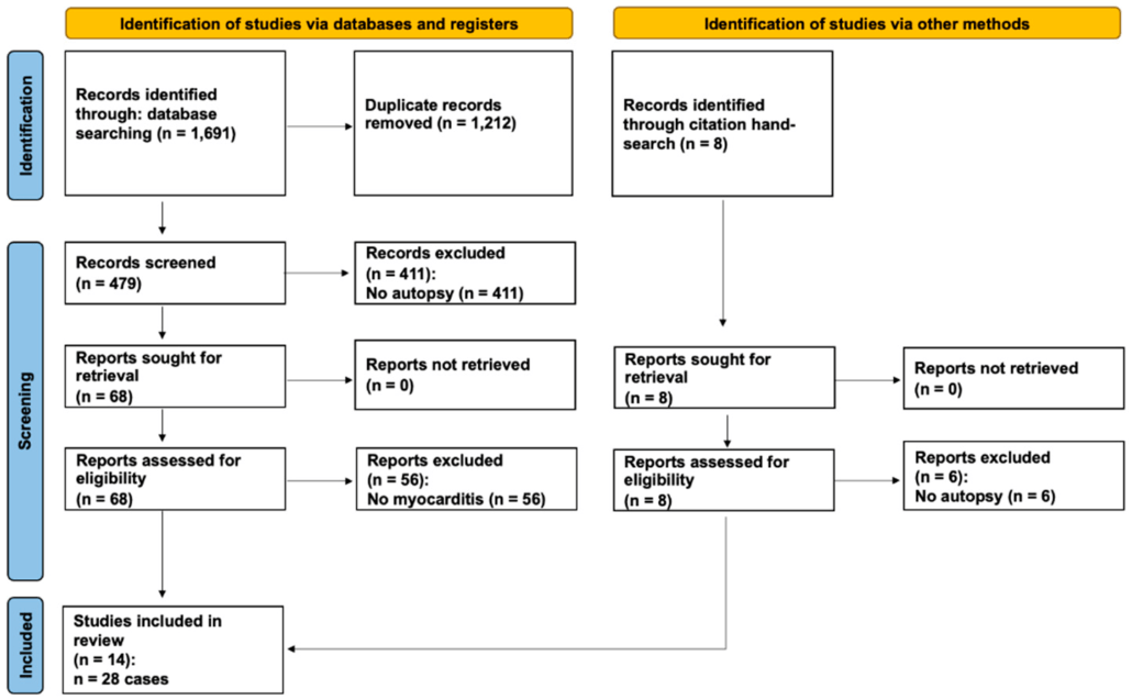 Autopsy Proven Fatal COVID-19 Vaccine-Induced Myocarditis 2