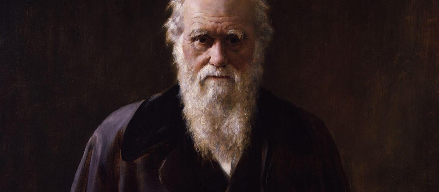 Darwin's Dilemma 7