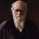 Darwin's Dilemma 28