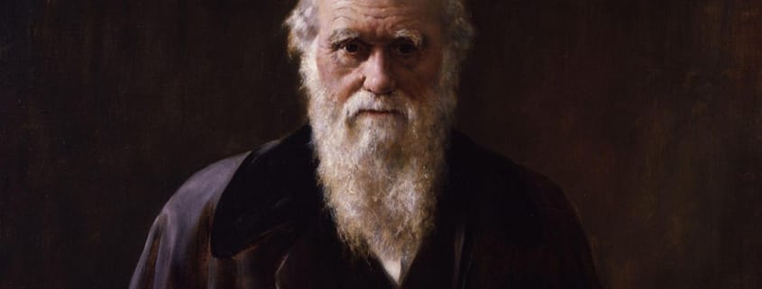 Darwin's Dilemma 1